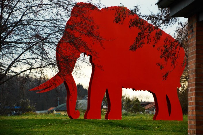 mammut